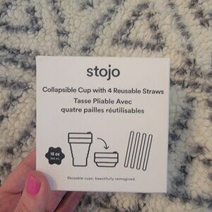 STOJO Collapsible Travel Silicone Cup with 4 Reusable Straws Burgundy/Dusty Rose